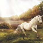 unicorndelight88